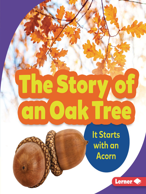 Cover image for The Story of an Oak Tree